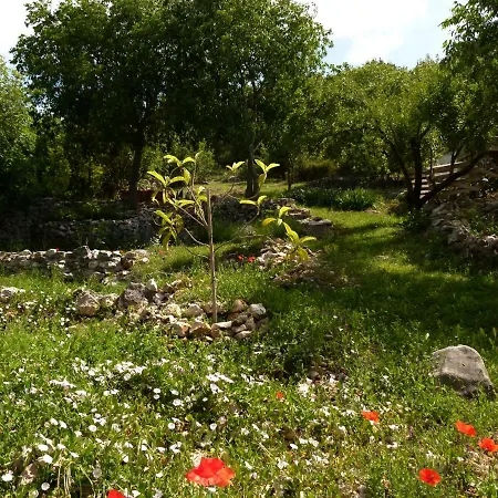 Apartamento Lavanda & Divona *