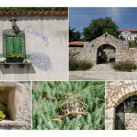 Lavanda & Divona Šibenik