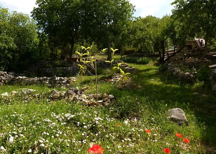 アパート Lavanda & Divona *