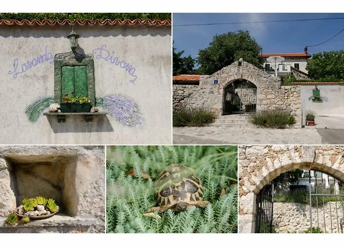 Lavanda & Divona シベニク