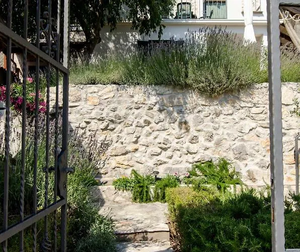 Lavanda & Divona * 希贝尼克